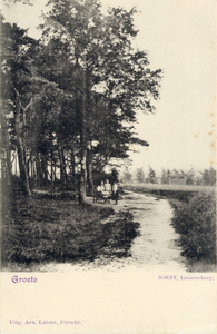 14253 Gezicht op een zandweg langs de Lazarusberg met naaldbomen te Soestdijk (gemeente Soest).